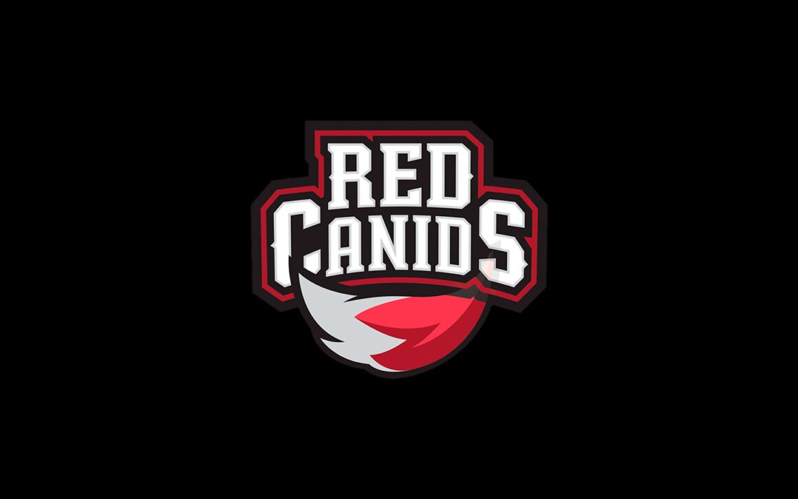 Valorant Red Canids Retorna Ao Competitivo