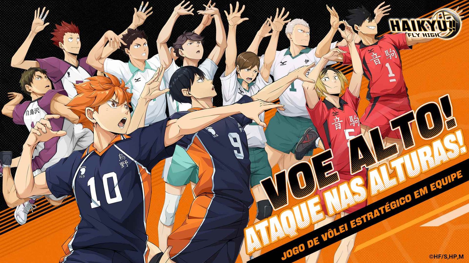 Haikyu Fly High