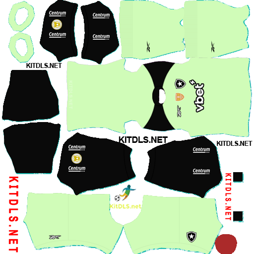 Botafogo — Goleiro titular (2026)