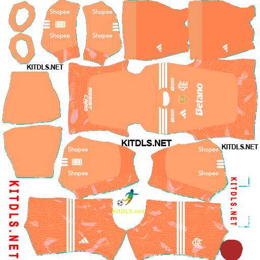Flamengo — Goleiro titular (2026)