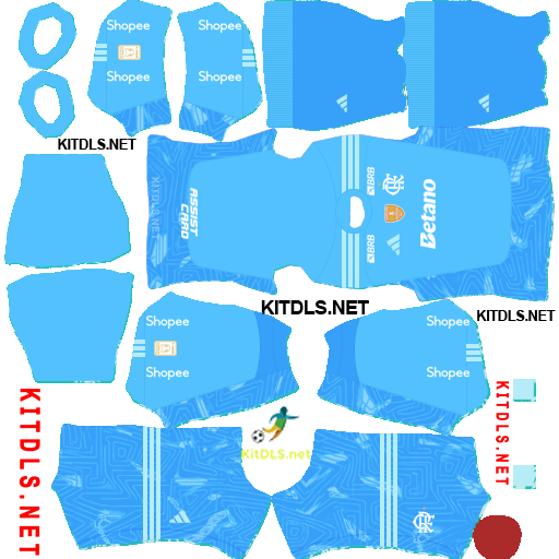 Flamengo — Goleiro reserva (2026)