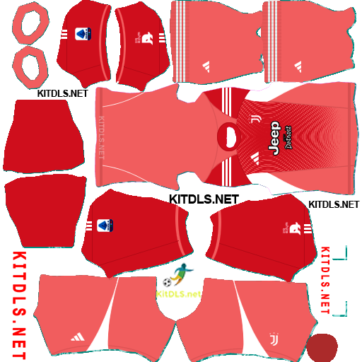 Juventus — Goleiro reserva (2026)