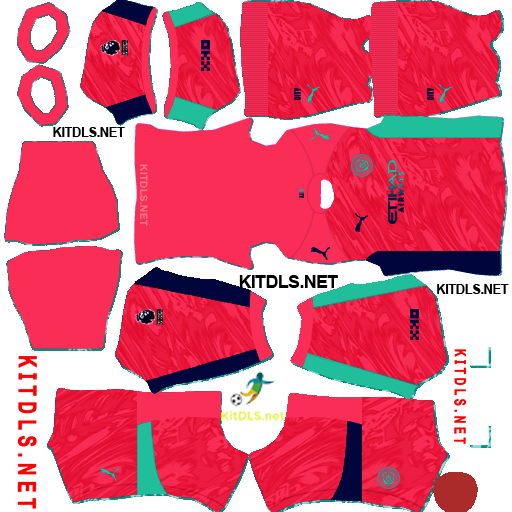 Manchester City — Goleiro reserva (2026)