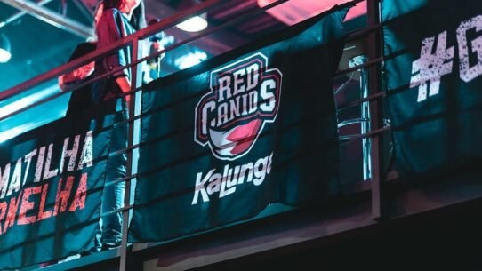 lol circuito desafiante red