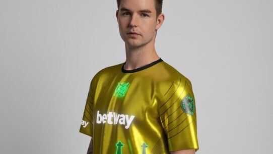 nip camisas virtuais