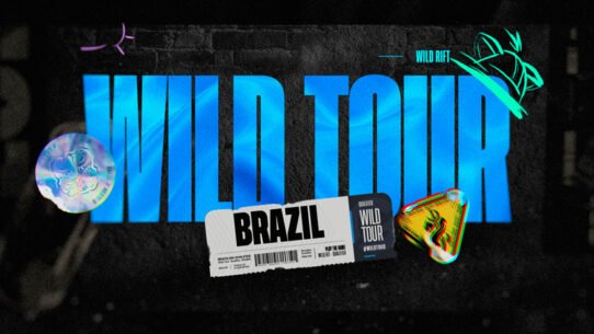 wild tour brasil